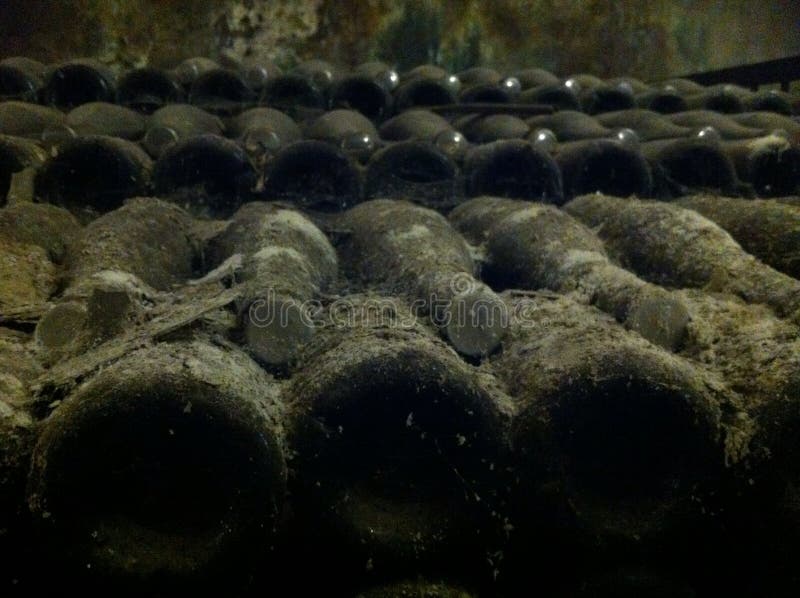 Cellar Fungus Mycelium on Wall Stock Photo Image of attack