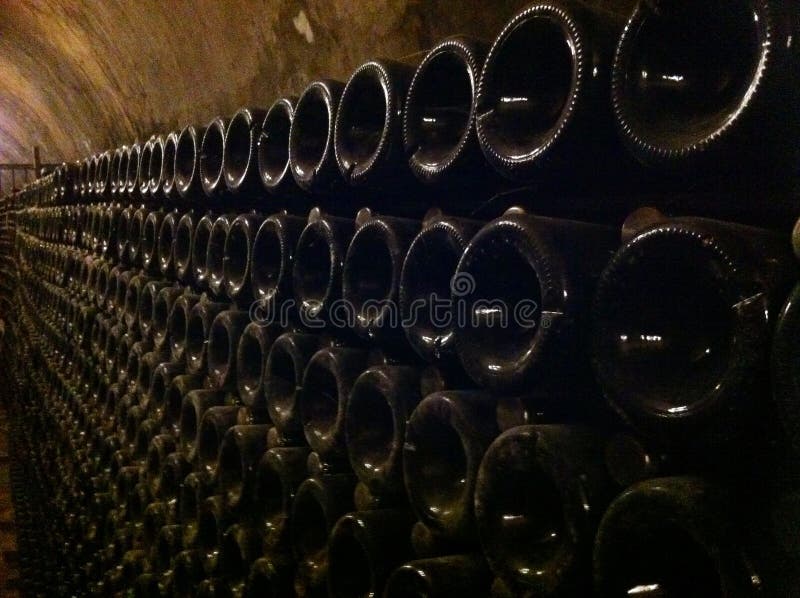 Cellar with wine stock image. Image of manufacturing 19995679