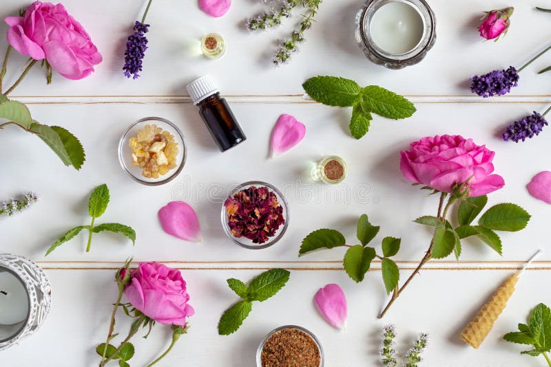 Botellas de básico aceite rosas, menta, lavanda próximo hierbas flores sobre el blanco.