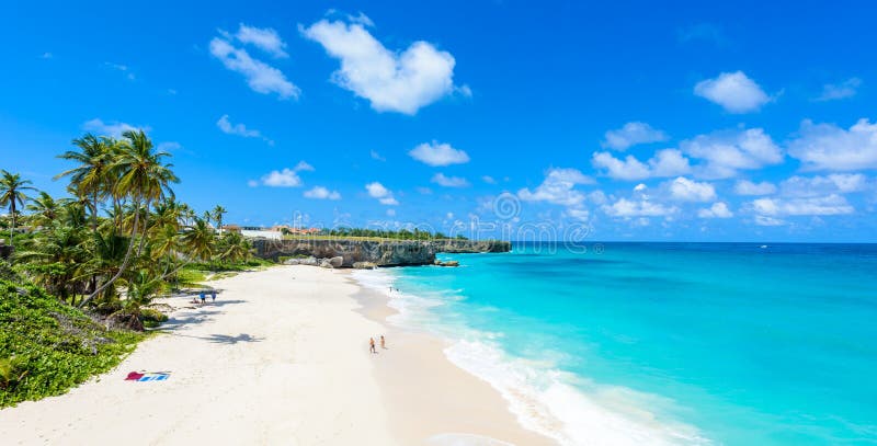 Bottom Bay, Barbados - Paradise beach on the Caribbean island of Barbados. Tropical coast with palms hanging over turquoise sea.