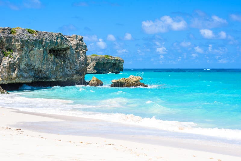 Bottom Bay, Barbados - Paradise beach on the Caribbean island of Barbados. Tropical coast with palms hanging over turquoise sea.