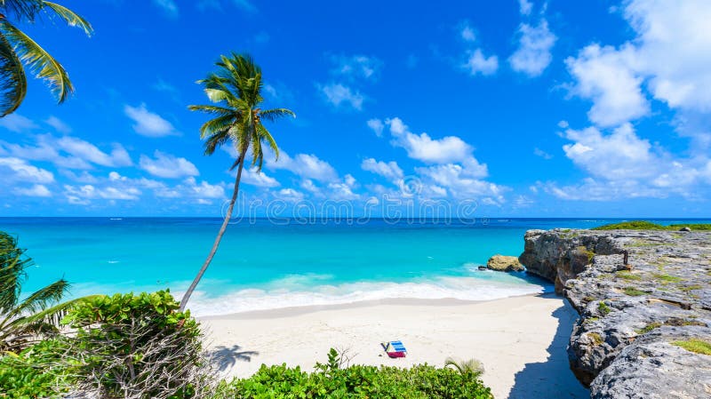 Bottom Bay, Barbados - Paradise beach on the Caribbean island of Barbados. Tropical coast with palms hanging over turquoise sea.