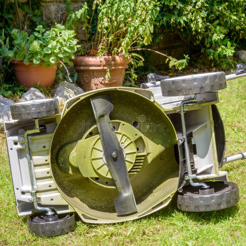 Crabgrass that Has Taken Over a Lawn Stock Image Image of mower, garden 99921929