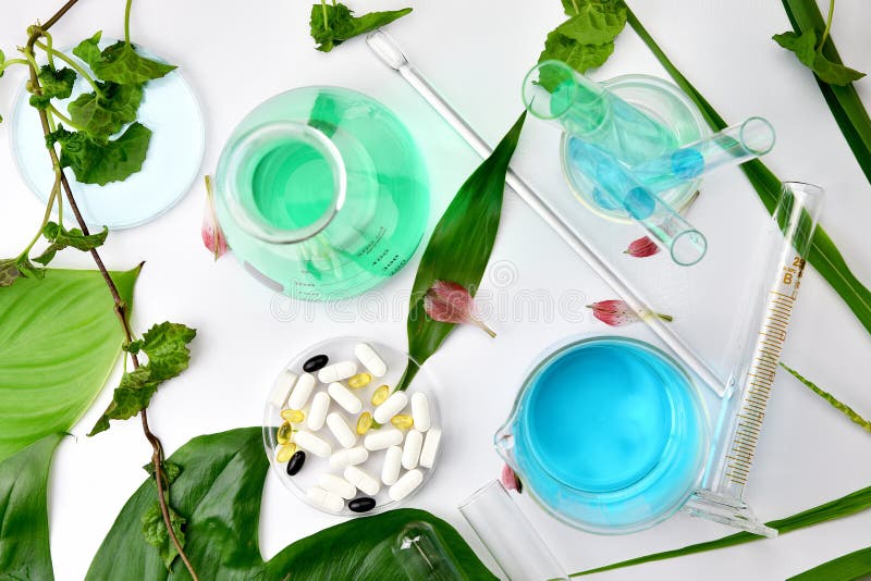 Botánica orgánica natural y cristalería científica, medicina alternativa de la hierba, productos de belleza cosméticos naturales imagen de archivo libre de regalías Botánica orgánica natural y cristalería científica, medicina alternativa de la hierba, productos de belleza cosméticos naturales imagen de archivo libre de regalías