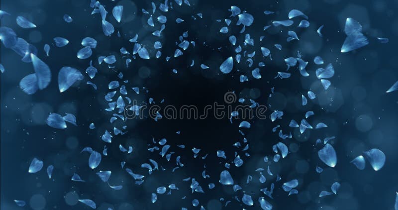 Boucle bleu-foncé romantique volante 4k de fond de Rose Orchid Flower Petals Falling