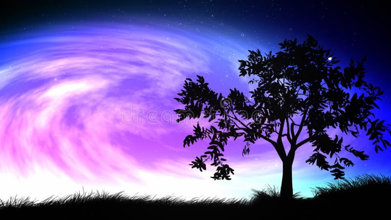 Boucle de ciel nocturne et d'arbre