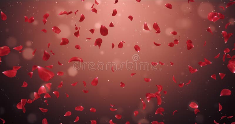 Boucle rouge foncé romantique volante 4k de Rose Flower Petals Falling Background