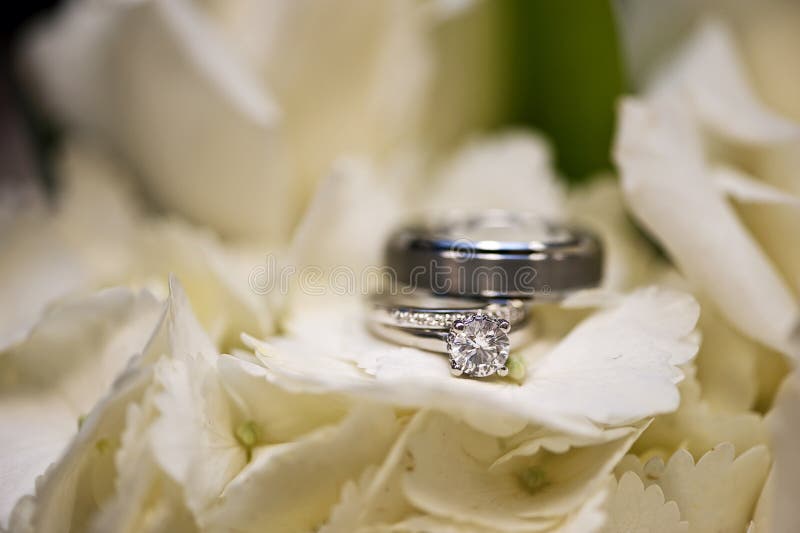 Boucles de mariage en fleurs blanches photo stock Boucles de mariage en fleurs blanches photo stock