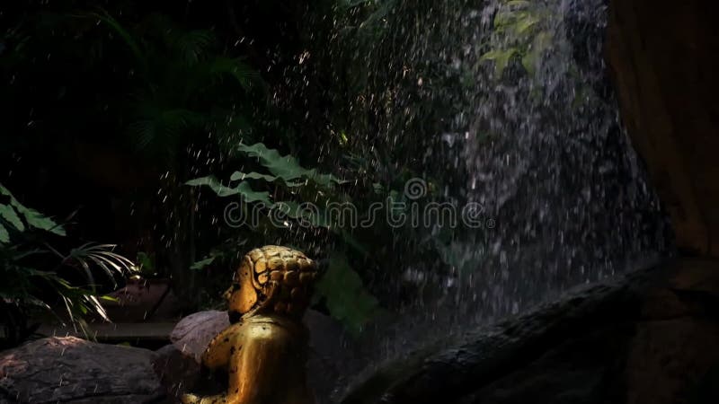 Bouddha doré sous la vue latérale de la cascade banque de vidéos