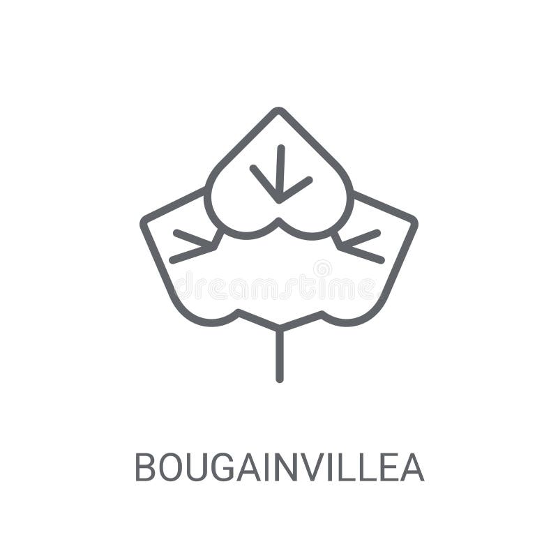 Bougainvilleapictogram Het in concept van het Bougainvilleaembleem op witte B royalty-vrije illustratie Bougainvilleapictogram Het in concept van het Bougainvilleaembleem op witte B royalty-vrije illustratie