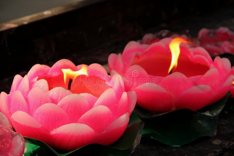 Bougie de Lotus photo libre de droits Bougie de Lotus photo libre de droits