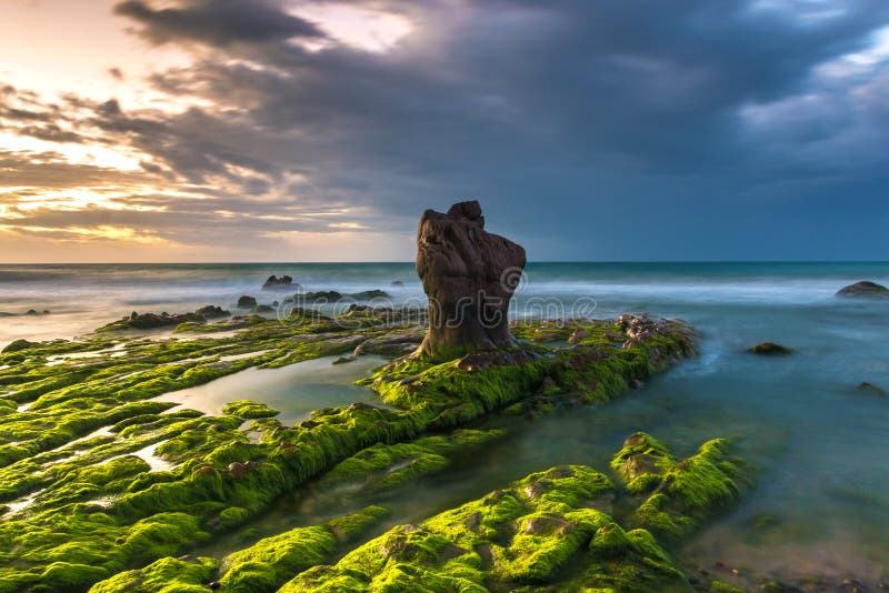 Nature Seascape with Boulder, Rocks and Green Mosses at Sunrise royalty free stock photos Nature Seascape with Boulder, Rocks and Green Mosses at Sunrise royalty free stock photos