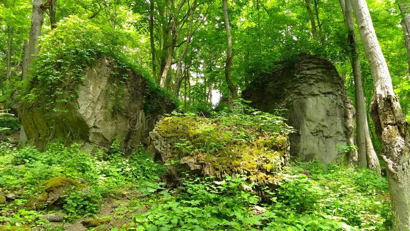 Boulders at the Niagara Glen