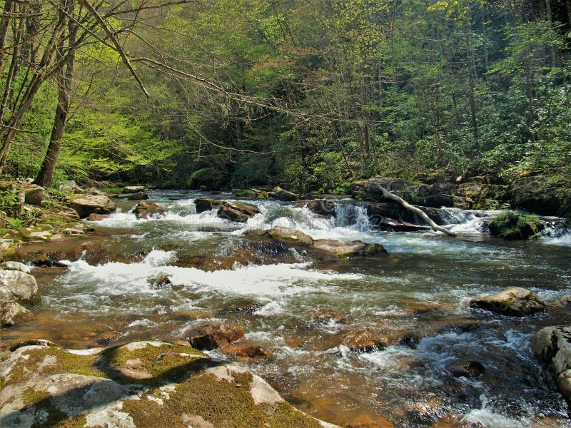 Boulders in Whitetop Laurel Creek