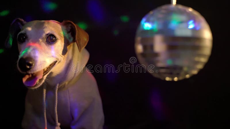 Boule de lumière colorée par fond sombre de l'atmosphère de la vie nocturne de discothèque clips vidéos