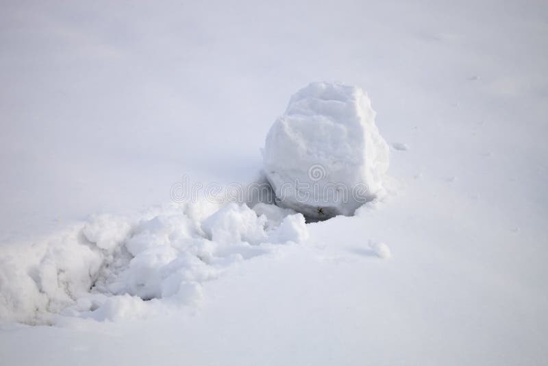 Boule de neige dans la neige fraîche images stock Boule de neige dans la neige fraîche images stock