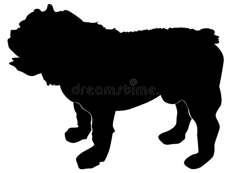 Bouledogue anglais illustration libre de droits Bouledogue anglais illustration libre de droits