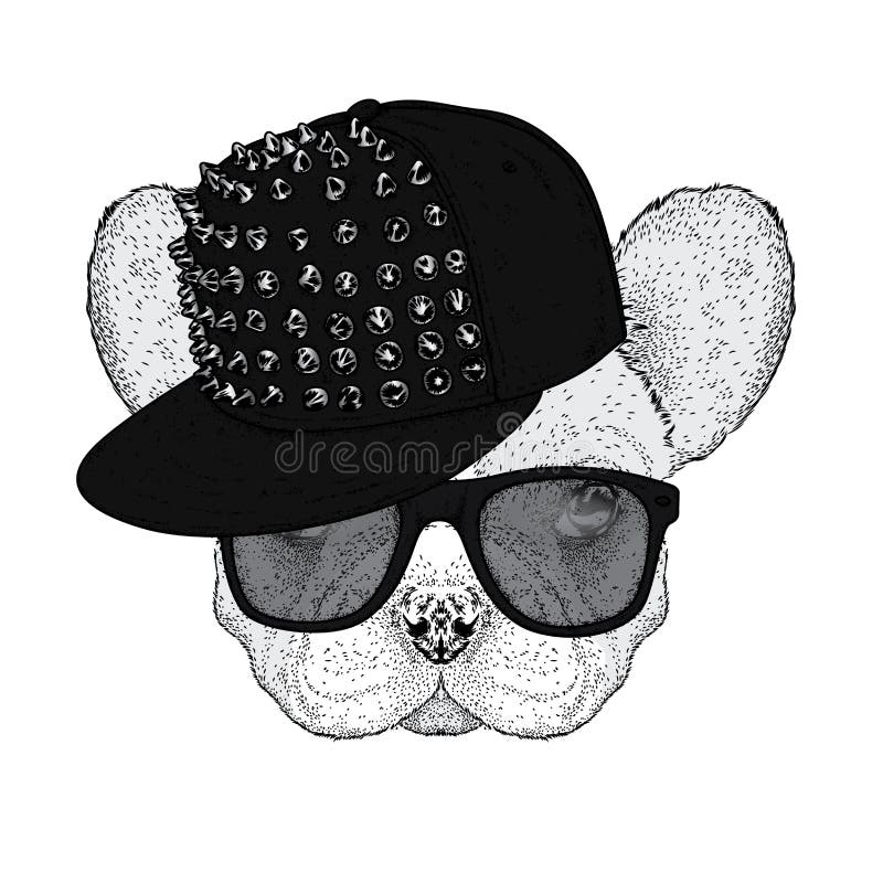 Bouledogue mignon dans un chapeau avec des épines et des verres Dirigez l'illustration pour une carte postale ou une affiche Crab illustration libre de droits Bouledogue mignon dans un chapeau avec des épines et des verres Dirigez l'illustration pour une carte postale ou une affiche Crab illustration libre de droits