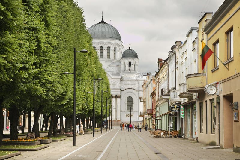 Boulevard di libertà - aleja di LaisvÄ-s a Kaunas lithuania fotografie stock Boulevard di libertà - aleja di LaisvÄ-s a Kaunas lithuania fotografie stock