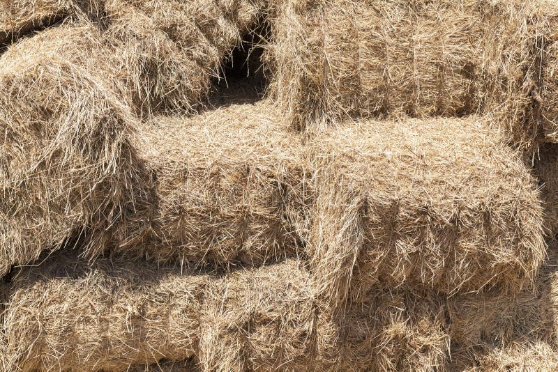 Bound straw stock photos