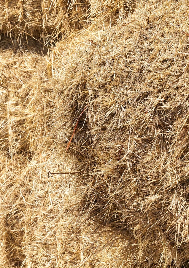 Bound straw stock photos