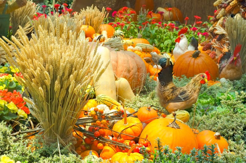 A Bountiful Autumn Harvest stock photo. Image of lush 27051084