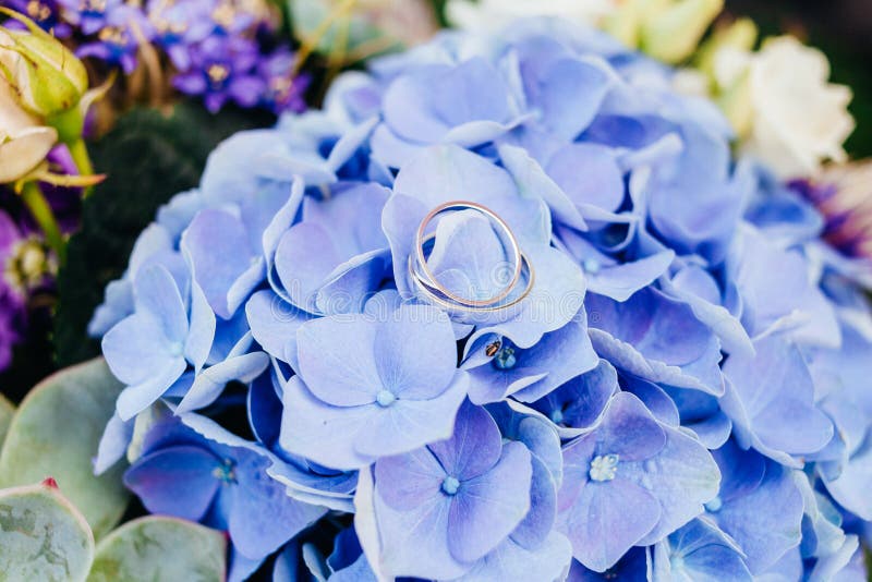 Bouquet and Accessories on Wedding Stock Photo Image of heels