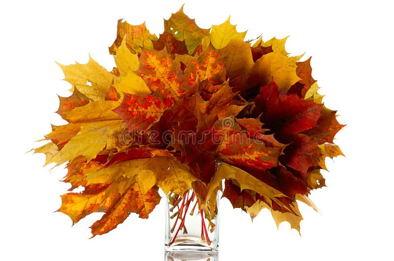 Bouquet of colorful leaves in glass vase isolated on white. Bouquet of colorful leaves in glass vase isolated on white