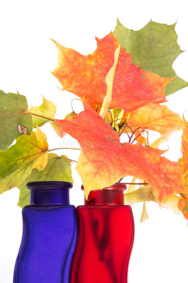 Bouquet of Autumn Leaves in Bright Colored Vase Stock Image Image of