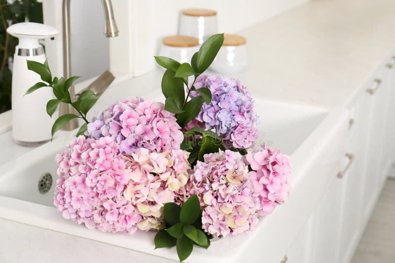 Bouquet avec de belles fleurs d'hortensia dans l'évier image stock