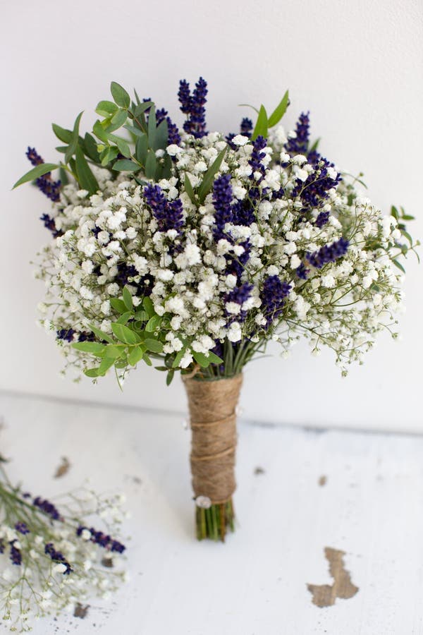 Bouquet of Baby S Breath with Eucalyptus and Lavender Stock Photo