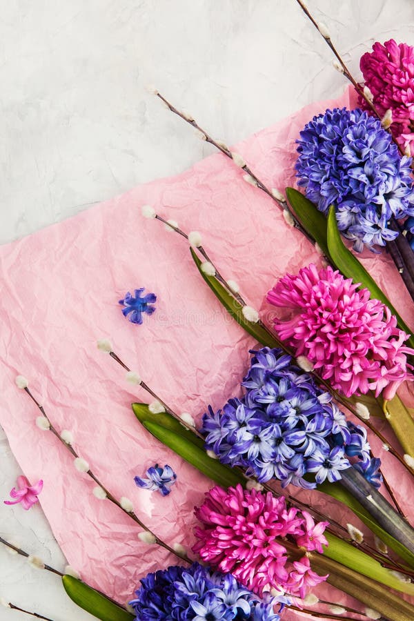 Bouquet of beautiful flowers - blue and pink hyacinths and willow, Spring or Easter concept royalty free stock photo Bouquet of beautiful flowers - blue and pink hyacinths and willow, Spring or Easter concept royalty free stock photo