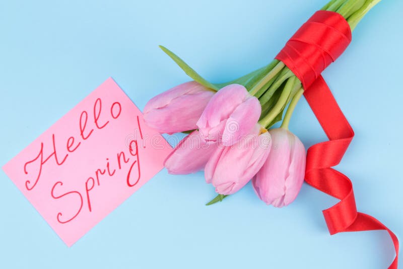A bouquet of beautiful pink flowers of tulips on a trendy bright blue background. Spring. holidays. text hello spring. top view stock image A bouquet of beautiful pink flowers of tulips on a trendy bright blue background. Spring. holidays. text hello spring. top view stock image