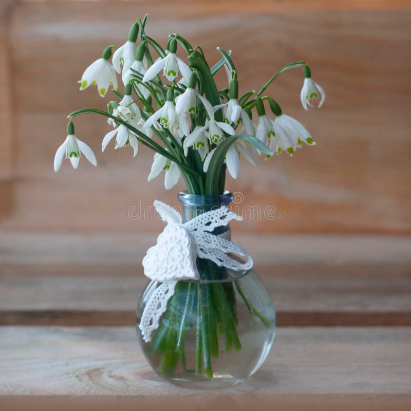 https://thumbs.dreamstime.com/b/bouquet-beautiful-snowdrops-glass-vase-gift-wooden-background-first-spring-flowers-174941633.jpg