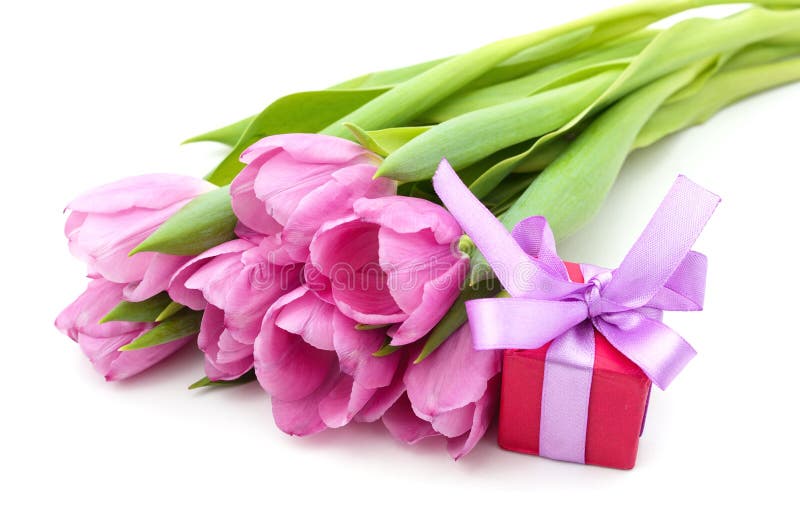 Bouquet Beautiful Tulips with a Gift Stock Image Image of green, botany 270086569
