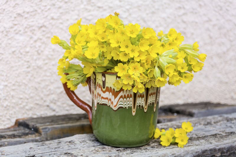 Bouquet of beautiful wild primroses flowers in a vintage clay cup stock photos Bouquet of beautiful wild primroses flowers in a vintage clay cup stock photos