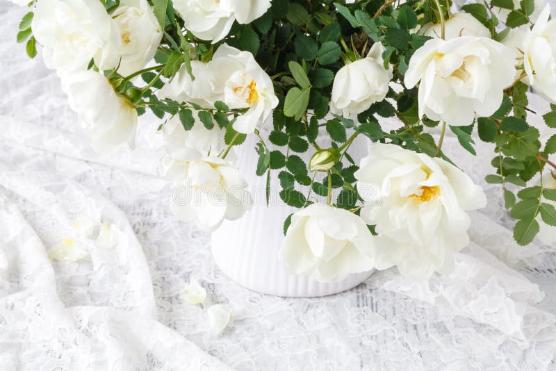 Hoa hồng hoang dã đẹp tuyệt vời – món quà của thiên nhiên tặng cho con người. Hãy chiêm ngưỡng vẻ đẹp hoang sơ của những bông hoa này và hãy để hương thơm nồng nàn của chúng làm cho cuộc sống của bạn thêm ngọt ngào.