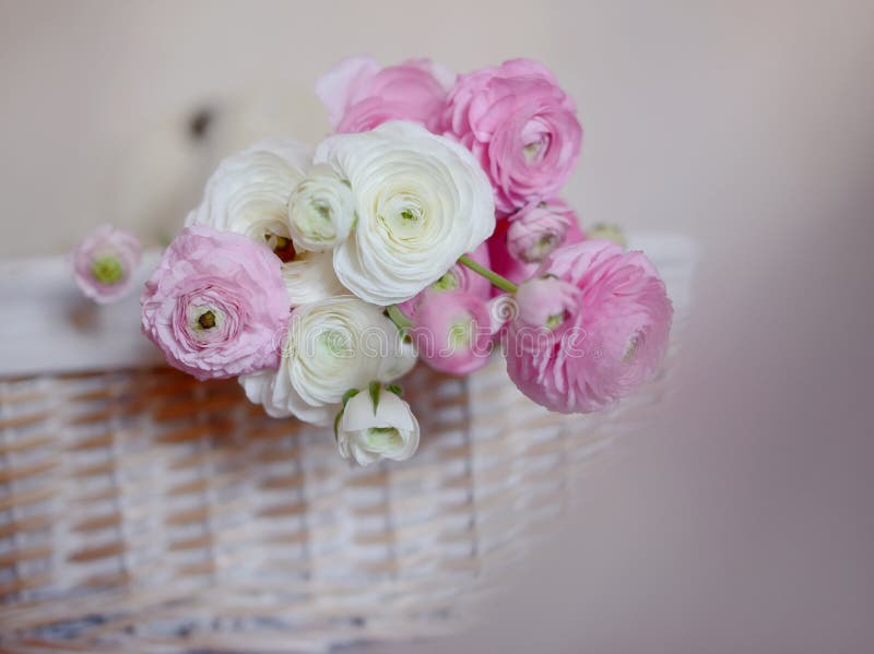 Bouquet of buttercups