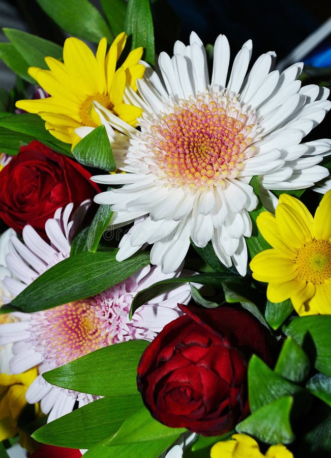 Bouquet Of Chrysanthemum Flowers Stock Photo Image of closeup, gift