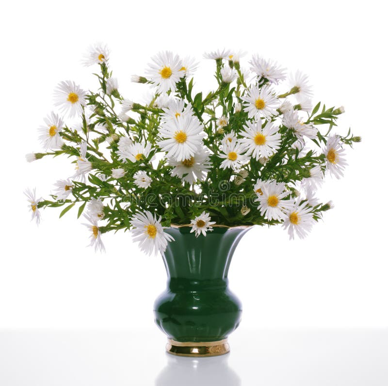 Bouquet of the Chrysanthemums Stock Photo Image of daisy, nature