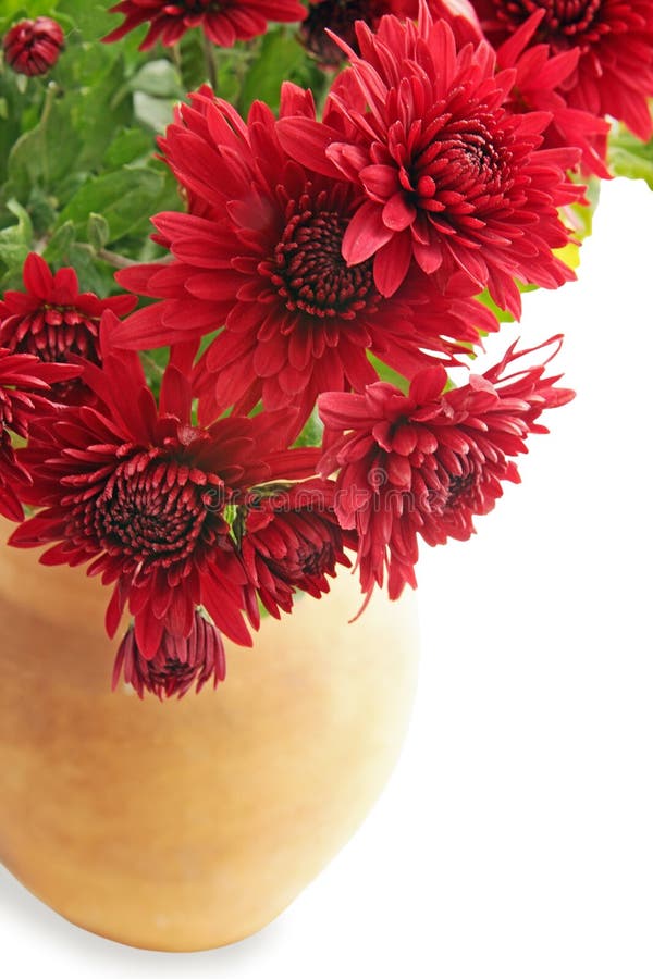 The Bouquet of Chrysanthemums Stock Image Image of copy, bloom 20910459