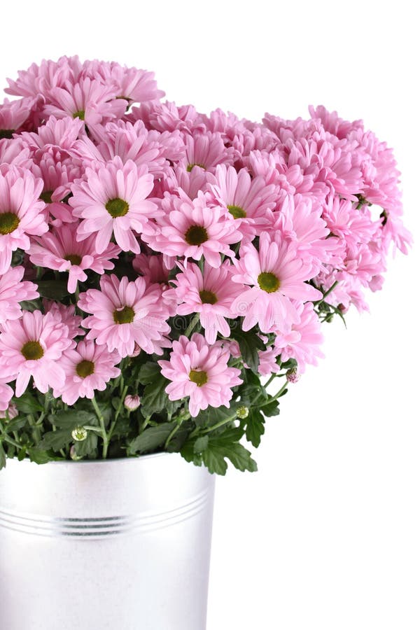 Bouquet of Chrysanthemums