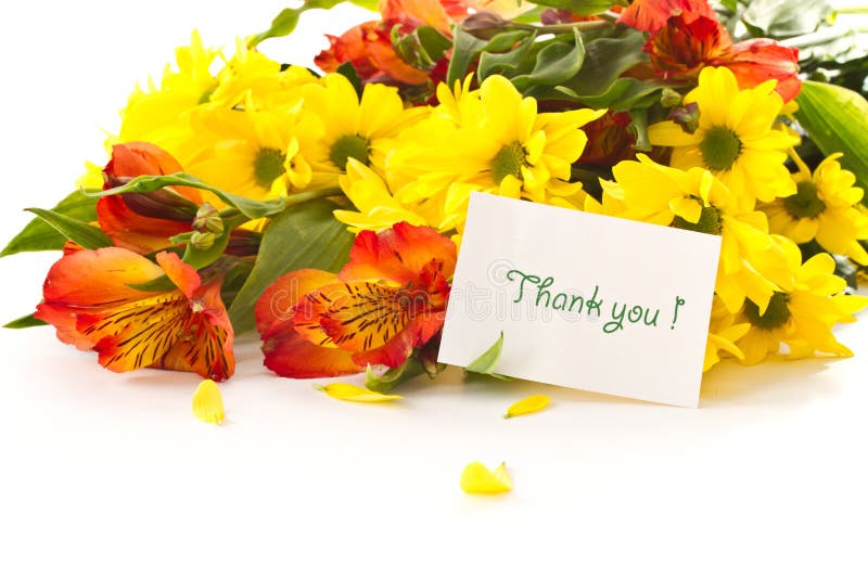 A bouquet of chrysanthemums and gerberas