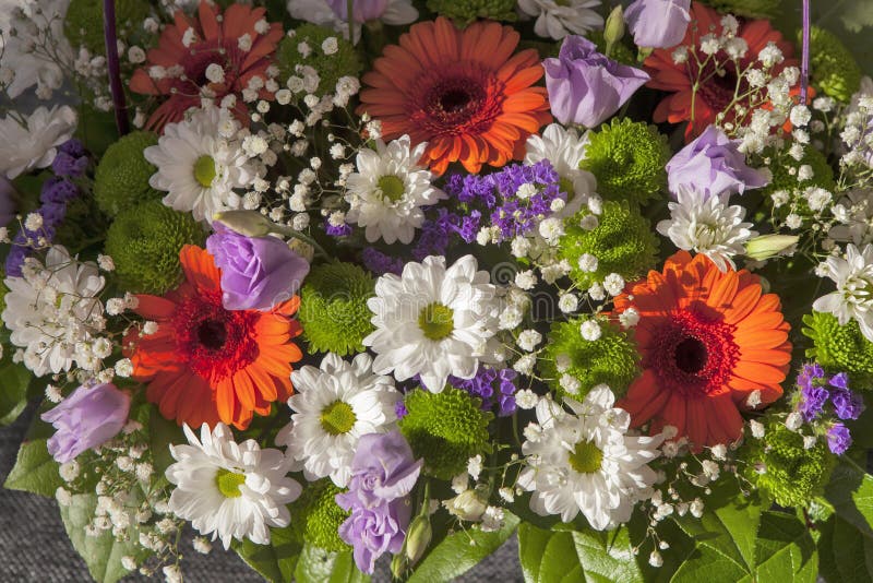 Colored Freesias and Gypsophila Bouquet Colored Freesias and Gypsophila Bouquet