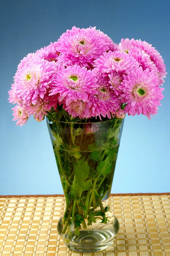 Bouquet of Chrysanthemums in a Vase Stock Image Image of blossom