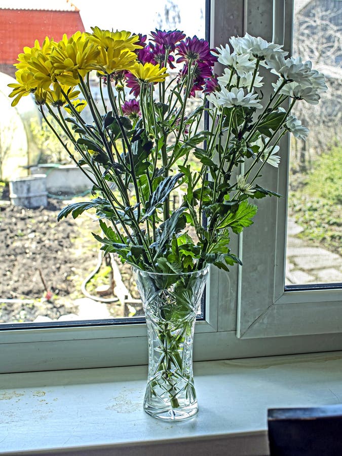 Bouquet of Colorful Chrysanthemums in a Crystal Vase Stock Photo