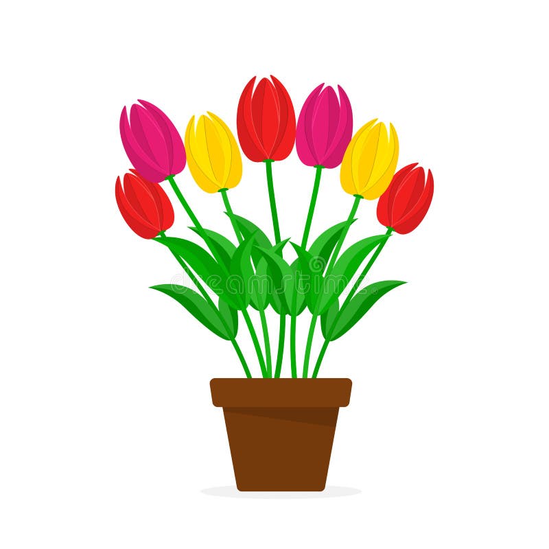 Bouquet of Colorful Tulips in the Pot. Vector Illustration. Stock ...