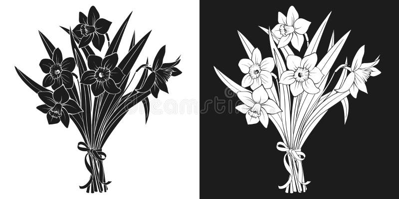 Bouquet of daffodils  ribbon  black and white silhouette. Hand drawn vector: narcissus  spring flowers  Womens day  Valentine. Bouquet of daffodils  ribbon vector illustration