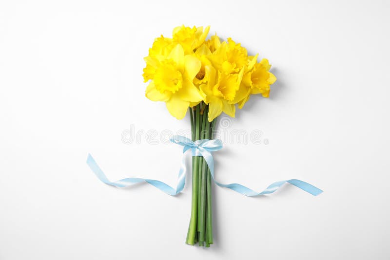 Bouquet of Daffodils on White Background. Fresh Spring Flowers Stock