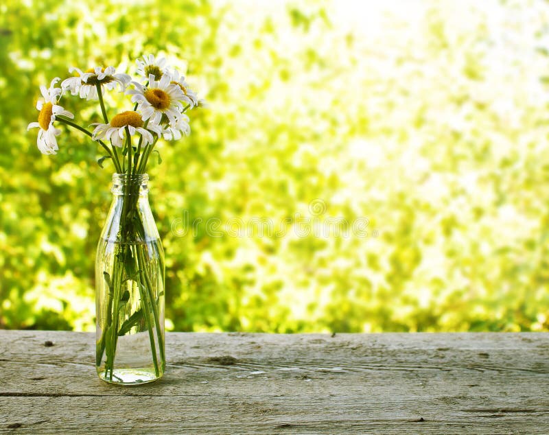 Bouquet of daisies in a bottle